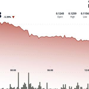 Dogecoin slumps 7% as bitcoin risk-off rattles memecoin bets