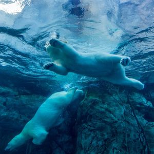 Bitcoin pulls back to as low as $81,000 as horrendous day continues