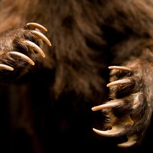 Bitcoin falls back below $67,000, rapidly giving back Wednesday's gains