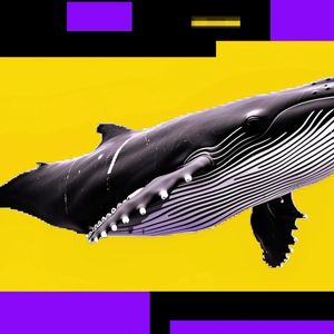 Bitcoin dip may not be over as whales sell into retail buying — a bearish signal