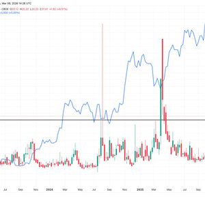 Stock market volatility hits one-year high, possibly marking bitcoin bottom