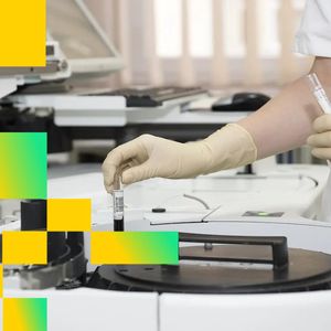 Investment firm Multicoin bets 'Internet Labor Markets' will drive crypto’s next wave of adoption