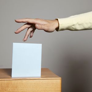 Trump-backed WLFI passes proposal letting $5 million stakers buy 'direct access' to team