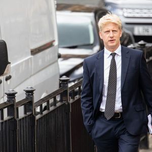 Boris Johnson's Brother Quits as Binance Advisor