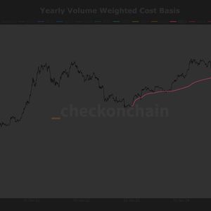 Bitcoin finds stability at 2023 investor cost basis, echoing past cycle