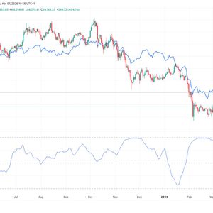 比特币正在削弱对软件股的影响，人工智能正在重塑市场动态。