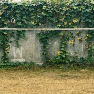 Bitcoin hits a wall – the chart just challenged the $88,000 bull case