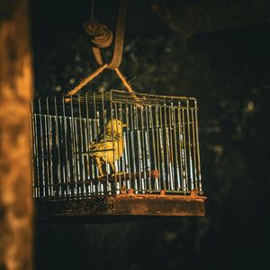 Bitcoin devs bet a quantum attacker will play nice with a ‘wait and react’ plan