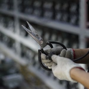 UK gas-investment firm weighs bitcoin mining, draws criticism