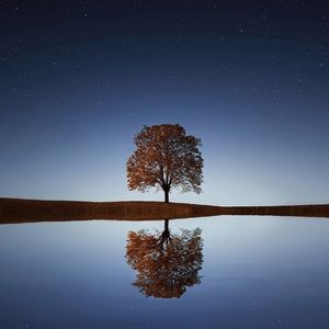 比特币在目前韩国股市中流动性不如