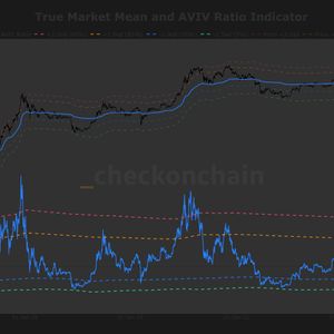 A make or break moment: Will $79,200 act as a launchpad or a ceiling for bitcoin?