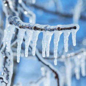 Inside the $71 million freeze on Arbitrum that has the crypto world questioning what decentralization really means