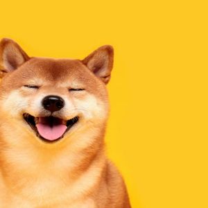 Dogecoin zooms 10%, breaking away from bitcoin as open interest hits a yearly peak