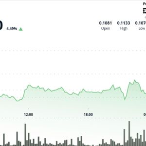 Dogecoin jumps 4% to lead gains among majors as bitcoin zooms higher