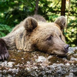 Crypto bears got it wrong again, losing $300 million in liquidations
