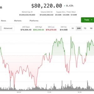 Coinbase rebounds as altcoins surge with bitcoin holding above $80,000