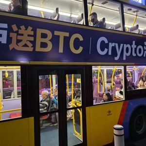 In the green: 70% of long-term holders are in profit as the bitcoin floor hardens