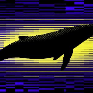 Cardano whales now hold 67% of ADA supply in highest share since 2020