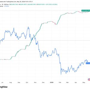 Bitfinex traders double down on bitcoin during five-day slide as longs hit 2.5-year high