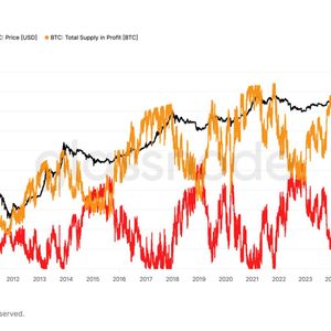 This bitcoin metric has marked every bear market bottom, and it's just flashed again