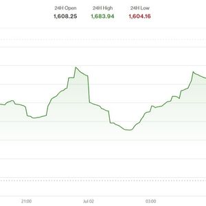 Smaller tokens lead as bitcoin, sol rally in 'first real bounce of the selloff'