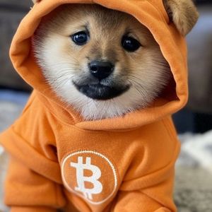 Bitcoin’s anti-spam fight gets a 'DOG Mode' reply