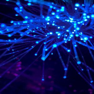 The future of crypto payments won't include on-ramps or bridges, Fun CEO says