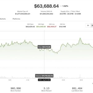 Bitcoin rises toward $64,000 as Coldcard exploit, Strategy sales recede. ADA advances