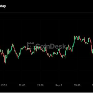 Live updates: Crypto majors bounce while global funds run their lowest dollar hedges since 2015