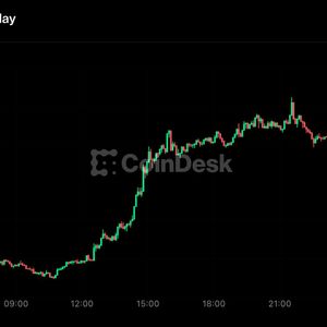 Bitcoin back above $81,000 as hike odds fade, Zcash leads with 15% jump