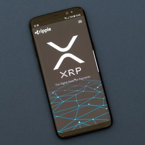 XRP Ledger has fewer active accounts than last year, but bigger trades and more value