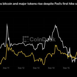 Zcash jumps 23% as bitcoin and major tokens rise despite Fed’s first hike since 2023