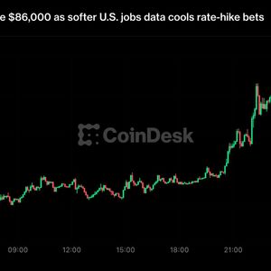 Bitcoin zooms toward $87,000, nearly setting an eight-month high, then reverses