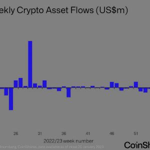 Inflows Into Short Bitcoin Products Picked Up Alongside Rally: Coinshares
