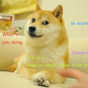 Couch From Famous Doge Meme to Be Auctioned by PleasrDAO