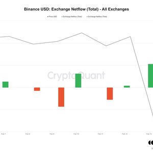 BNB Token Slides Under $300, Binance USD Inflows Signal Bearish Signs