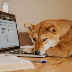 Canine Crypto Coins Jump After Elon Musk Sends DOGE-Themed Tweet