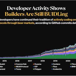 Developer Activity Shows Healthy Growth of the Crypto Space