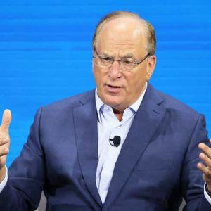 BlackRock CEO Fink says 'we're halfway there in the ETF revolution'