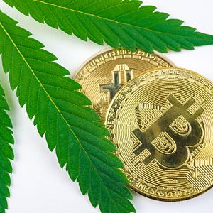 Crypto and Cannabis funds overwhelm the top 10 ETF YTD performers