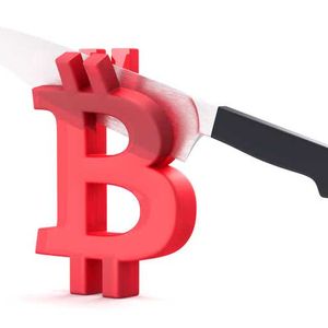 Bitcoin To The Moon? The 2024 Halving Rally Begins