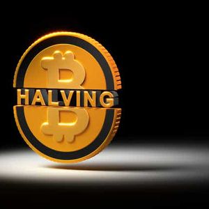 The Bitcoin Halving: What Is It? And Why Does It Matter?