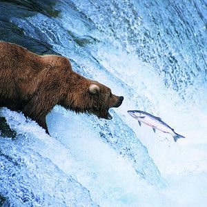 MicroStrategy: Saylor Can't Afford A Bear Market