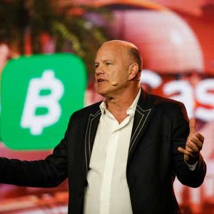 Galaxy Digital's Novogratz said FTX  is a `body blow' to crypto industry trust