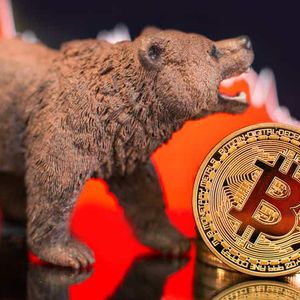 Bitcoin on track for over 20% weekly loss; investors still reeling from FTX implosion
