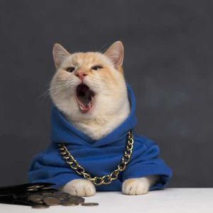 CONY: Re-Evaluate Your Risk Tolerance