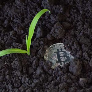 Coinbase: Seeds Of Growth Amidst Recent Challenges