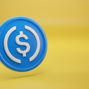 How We're Earning A 14%+ Yield Selling Puts On Circle Internet Group