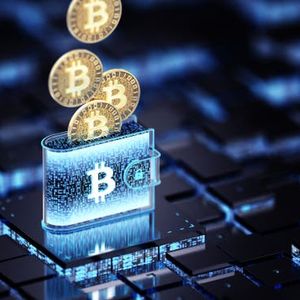 BLOK: Maybe The Optimal Blockchain Strategy, But Volatility May Be Too Risky For Many