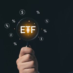 BTCY: CA: A Fun Idea With Yield But Risky
